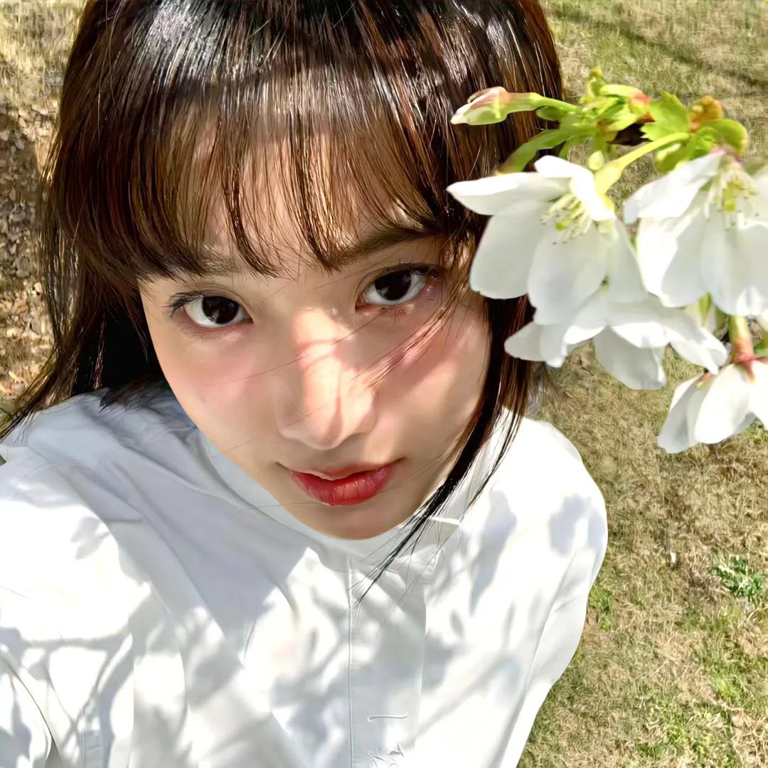 全家福